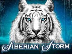 Siberian Storm
